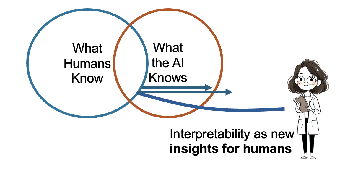 AI knowledge transfer